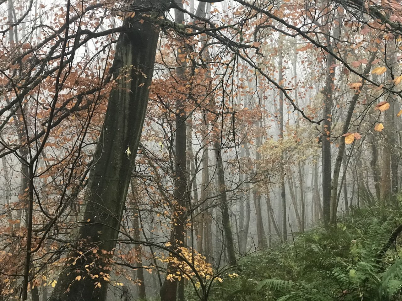 Vitamin D3 and Winter Wetmore Clinic